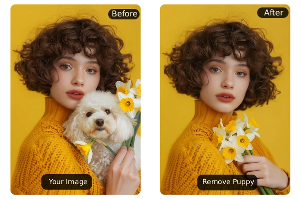 Edit Photos with Text Prompts