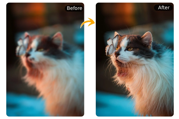 Unblur and Enhance Details in Low-Quality Images